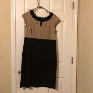 Black and drown capped sleeve dress